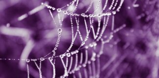 Czy na answear są oryginalne?