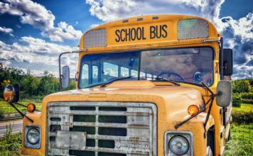 Jak promować kulturę?