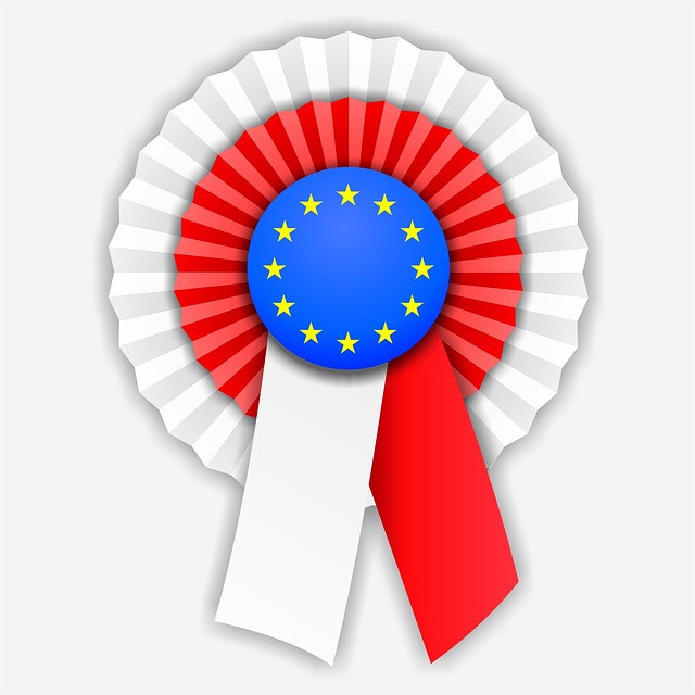 Jak prawidłowo powinien wyglądać kotylion? Jak prawidłowo powinien wyglądać kotylion?