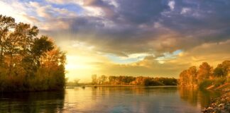 Jakie kolory pasują do brudnego różu?