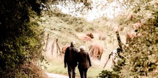 Gdzie najlepiej odkładać na emeryturę?