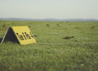 Czy można nosić koszulkę w spodniach? Czy można nosić koszulkę w spodniach?