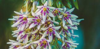 Jakie kozaki kupić?