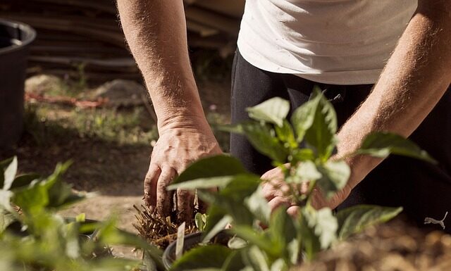 Czym grozi brak uziemienia?