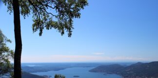 Jak opisać przełożonego?