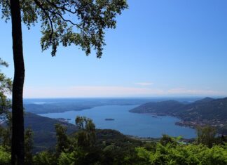 Jak opisać przełożonego? Jak opisać przełożonego?