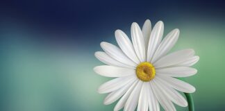 Jakie kontakty na białą ścianę?