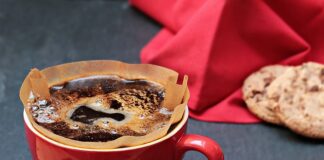 Czy filtry do wody Dafi są zdrowe?