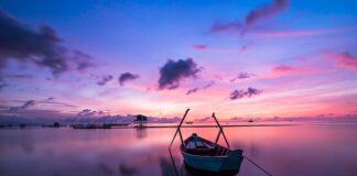 Czy kolor deski ma znaczenie?