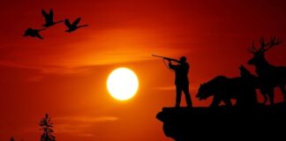 Jaka luneta do polowań nocnych?