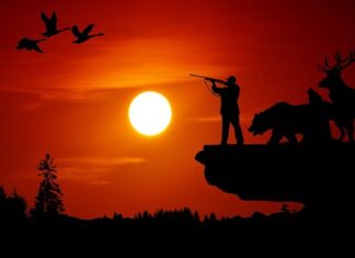 Jaka luneta do polowań nocnych? Jaka luneta do polowań nocnych?