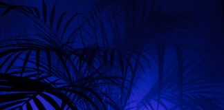 Jakie legginsy męskie do biegania?