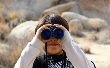 Jaka luneta do strzelań długodystansowych? Jaka luneta do strzelań długodystansowych?