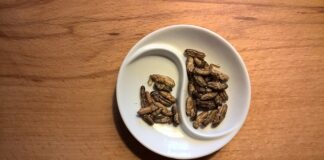 Czy świerszcze gryzą?