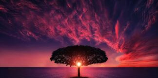 Co to jest zoom w lunecie?