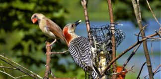 Jak sprawdzić którą noga jest dominującą?