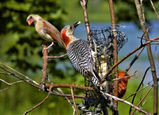 Jak sprawdzić którą noga jest dominującą? Jak sprawdzić którą noga jest dominującą?