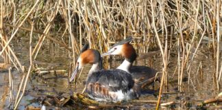 Jakie są typy gniazd?