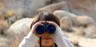 Co jest lepsze luneta czy kolimator?