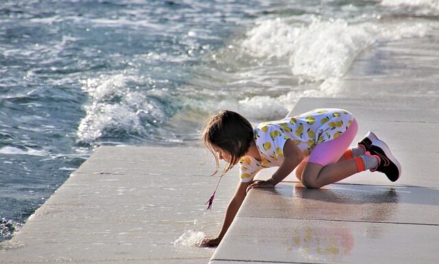 Czy w Adriatyku są jeżowce?