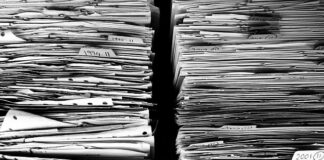 Jak lornetka do obserwacji przyrody?