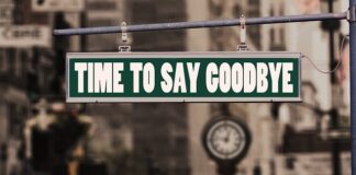 Jak się pozbyć cykady?