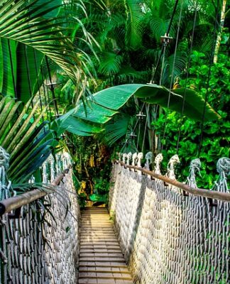 Jakie liny na jacht?