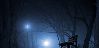 Kto namalował znak Polski Walczącej w kamieniach na szaniec?