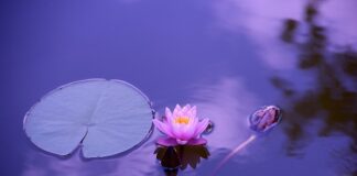 Jak odciążyć stawy kolanowe?